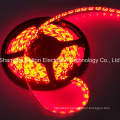 CE Approved SMD5050 10mm 24V 15.8W LED Light Strip